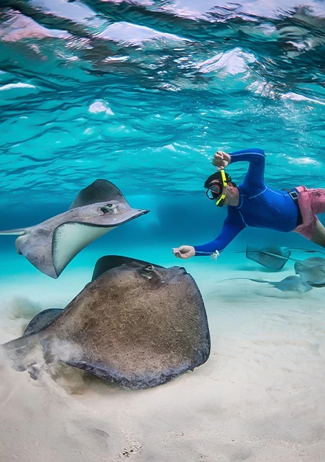Snorkelling